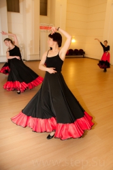 SCU_78601-www_step_Su.jpg 