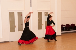 SCU_78441-www_step_Su.jpg 